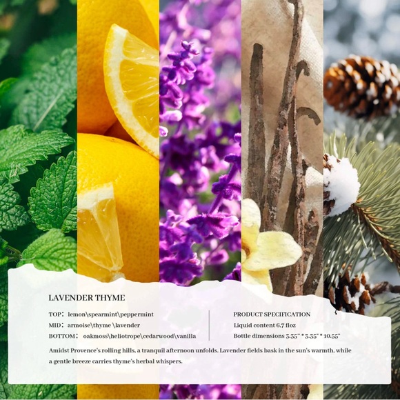 Lavender Reed Diffuser - Picture 5 of 6